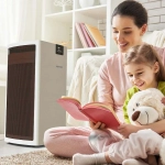 Boneco P710 очиститель воздуха