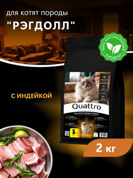 Корм сухой для котят породы Рэгдолл, с индейкой, 2кг, QUATTRO