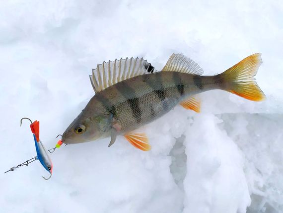 Балансир Lucky John NORDIC 5 50мм/15HRT