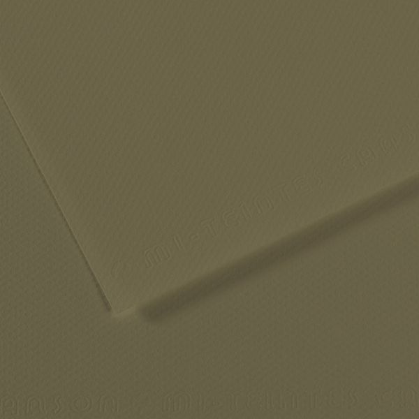 Бумага для пастели Mi-Teintes 160 г/м², 50х65 см, 10 л, №191 Оливковый, Canson, C31032S129