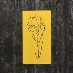 Цветок Ирис №4