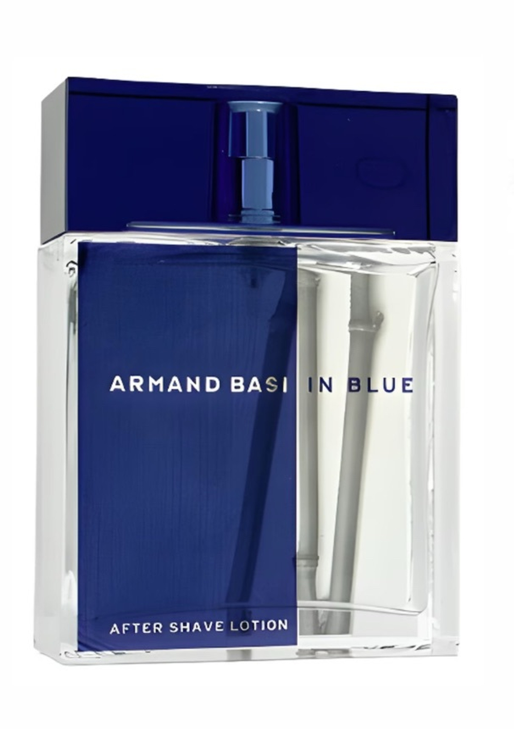 In Blue Armand Basi