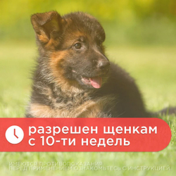 Капли от иксодовых и саркоптоидных клещей и блох Дана Ультра для собка и щенков до 5кг