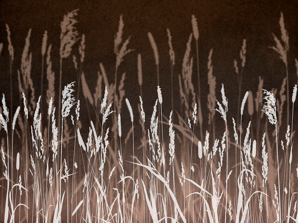 Дизайнерские обои Wall Street Essence