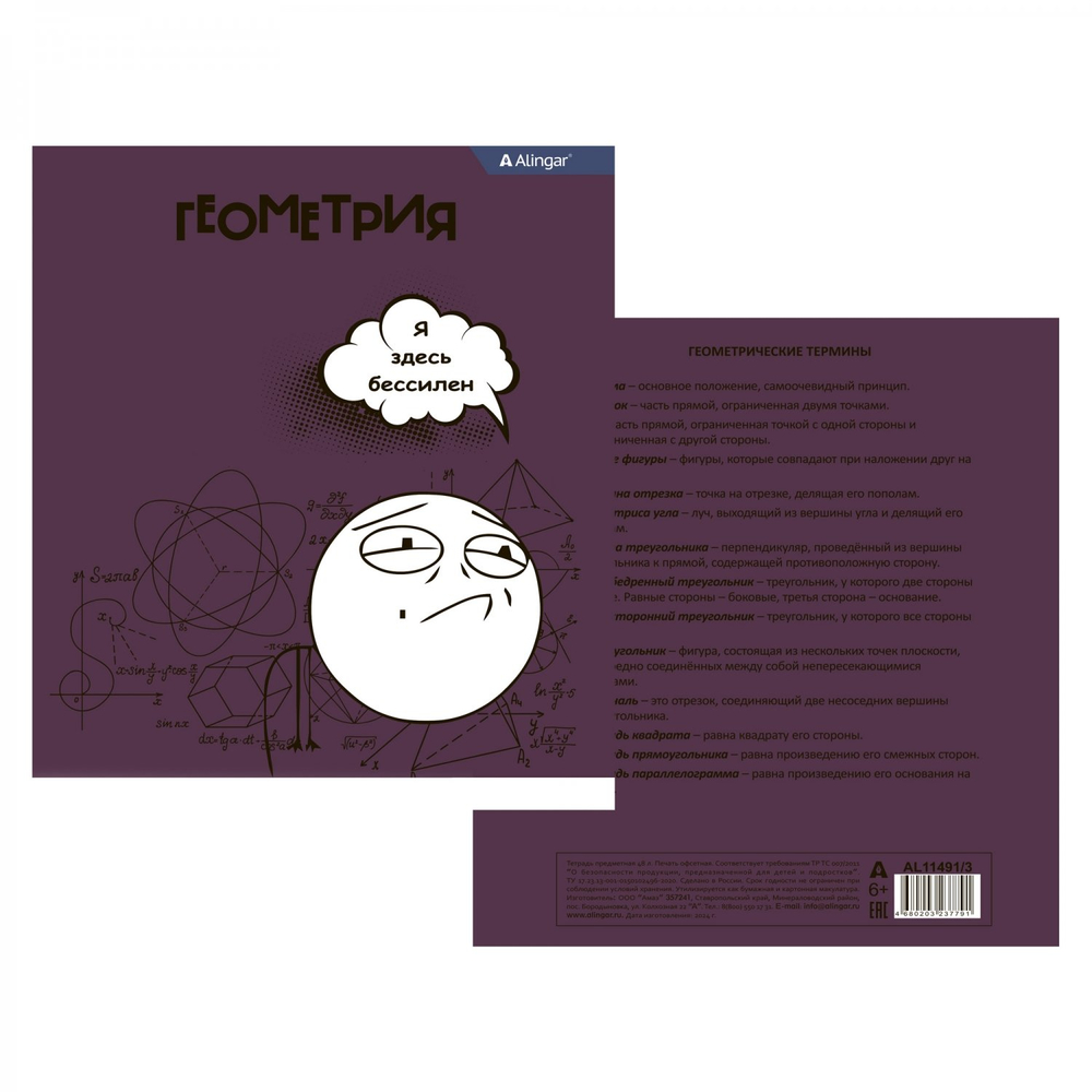 Тетрадь предметная "Геометрия" А5 48л., клетка, со справ. материалом, скрепка, мелованный картон(стандарт), блок офсет, Alingar "Мемы"