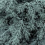 Голубая Туя-шар искусственная (Литая хвоя) 40 см \ 70 см