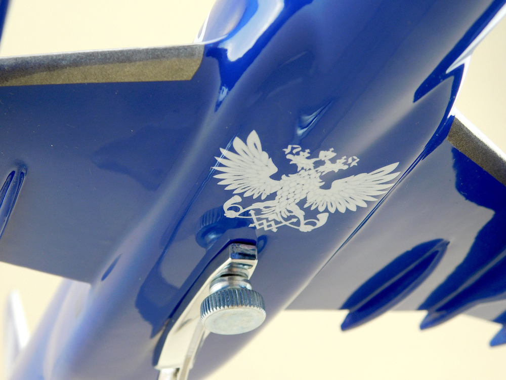 Модель самолета Ту-204-100С (М1:100, Почта России, Петр I)