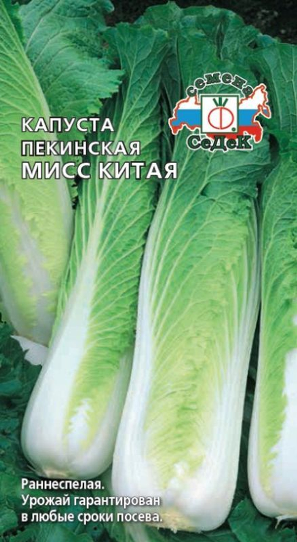 Капуста пекинская Мисс Китая 0,3г Ц СеДеК