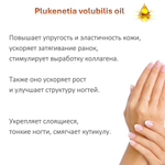 Масло сача инчи, нерафинированное