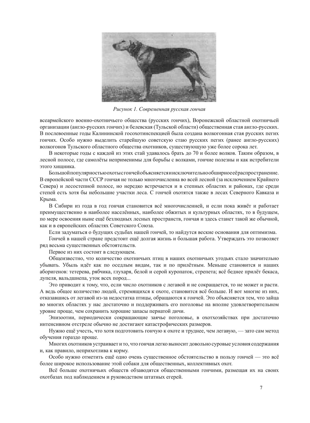 Гончая и охота с ней | В. И. Казанский