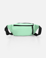 Поясная сумка Anteater Waistbag Мятный
