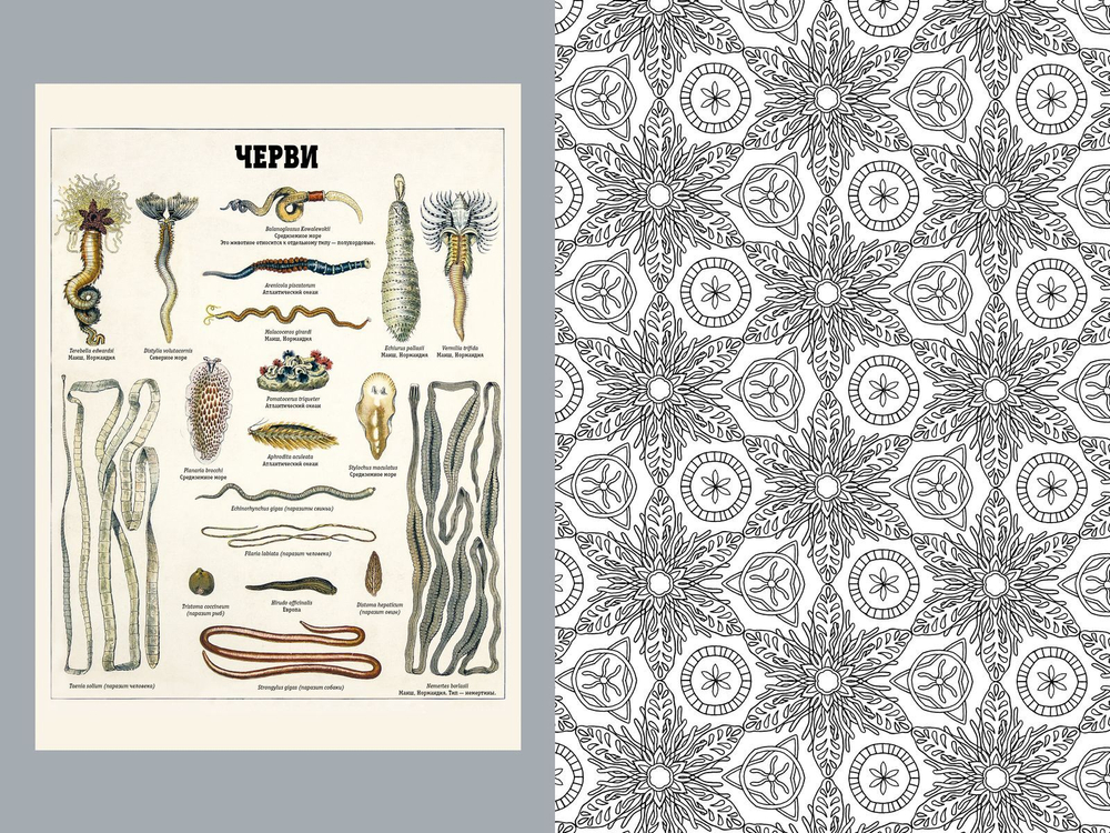 Вдохновляйся и рисуй. Природа