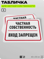 Табличка для частной территории "Частная собственность, вход запрещен", на дом, для участка, организаций, предупреждающая, 40х30 см, Silver Plane x Айдентика Технолоджи